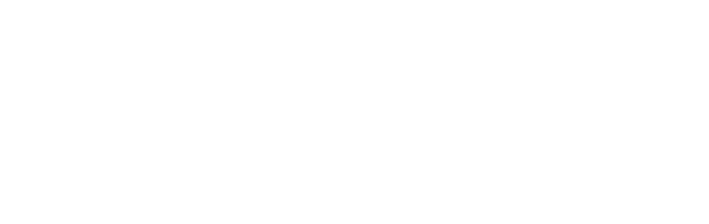 Wolfgang logo