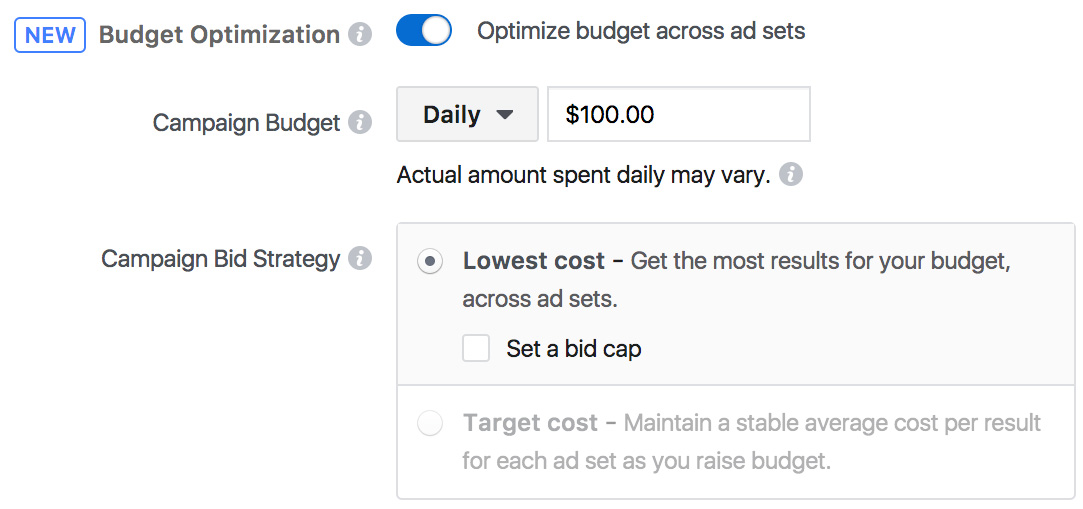 Campaign Budget Optimisation 