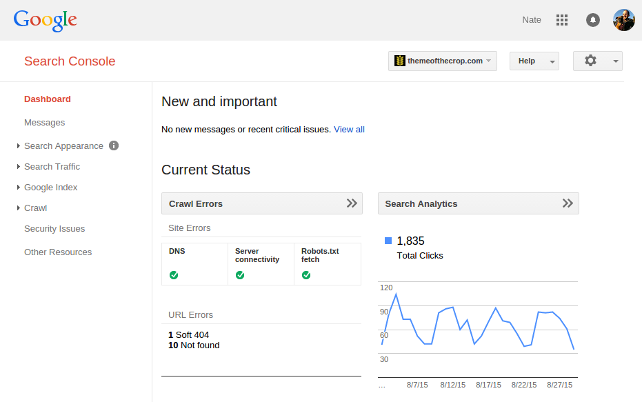 Google Search Console Interface