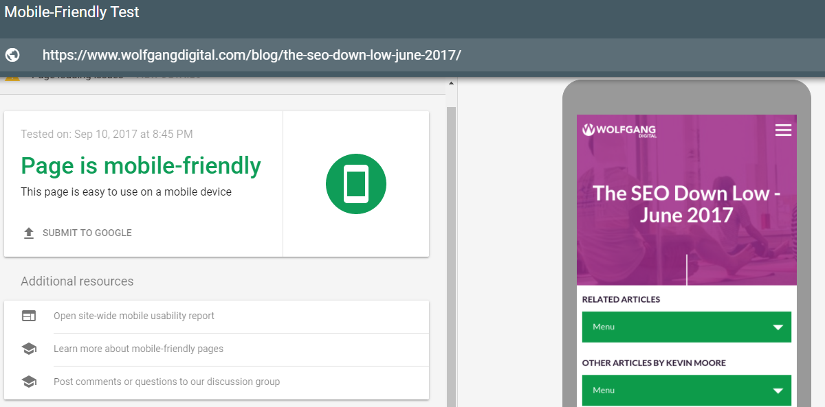 Mobile Friendly Test Result