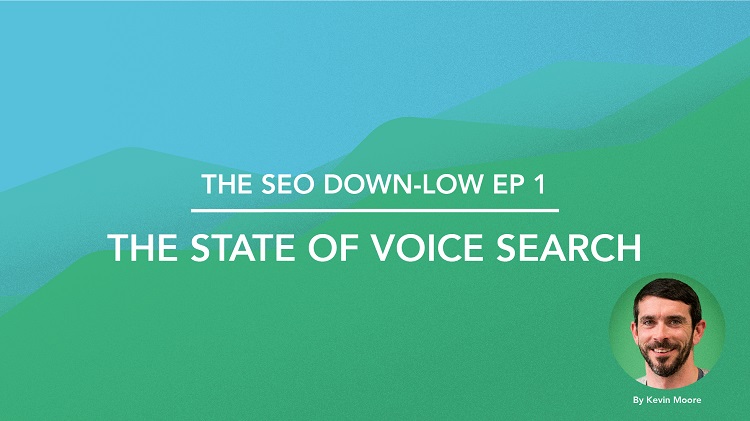 SEO Down Low Episode 1