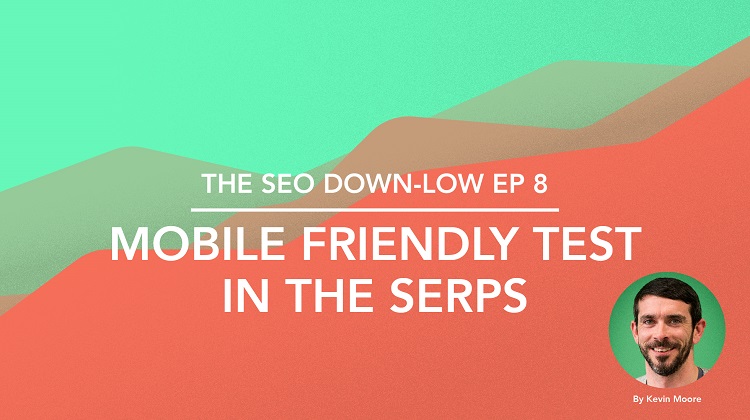SEO Down Low Episode 8