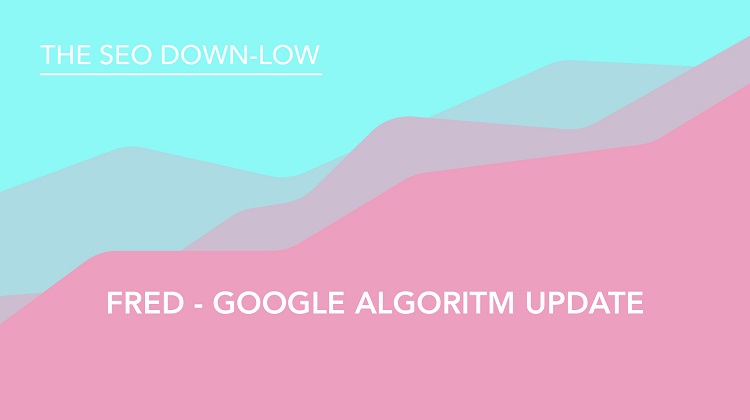 Google Algorithm Update - Fred