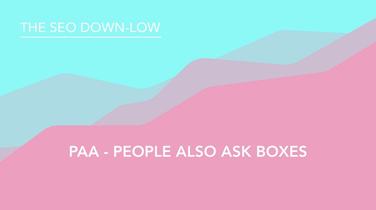 People Also Ask Boxes - PAA - SEO Down Low