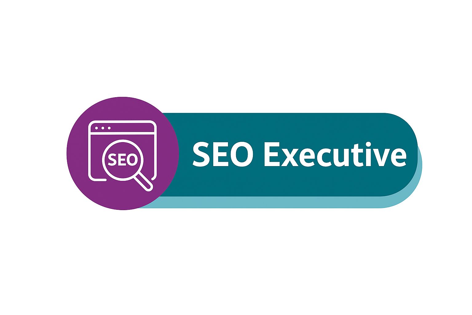 SEO Executive
